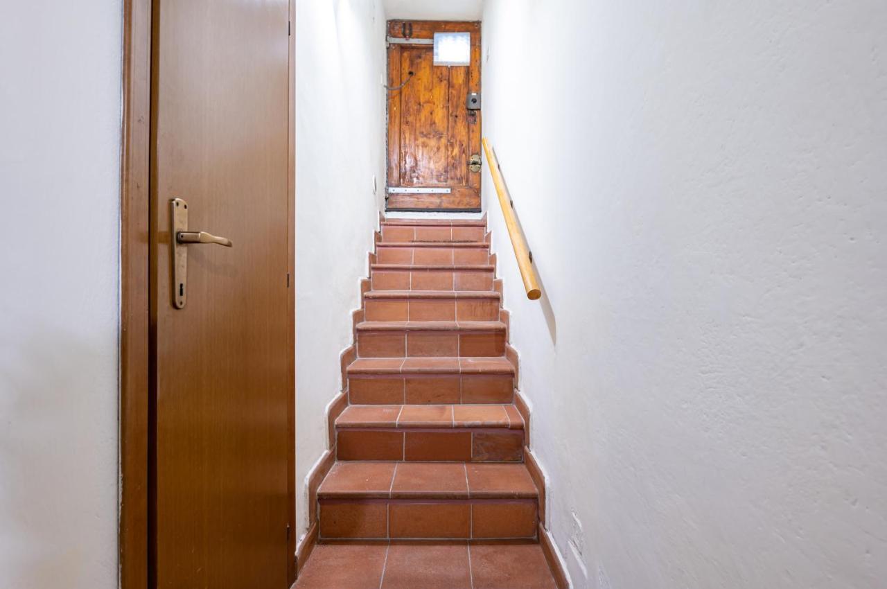 University And San Marco Cozy Apartment 佛罗伦萨 外观 照片
